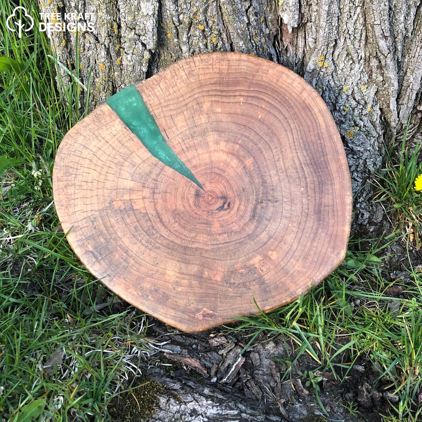 Silver Maple Biscuit with Green Epoxy