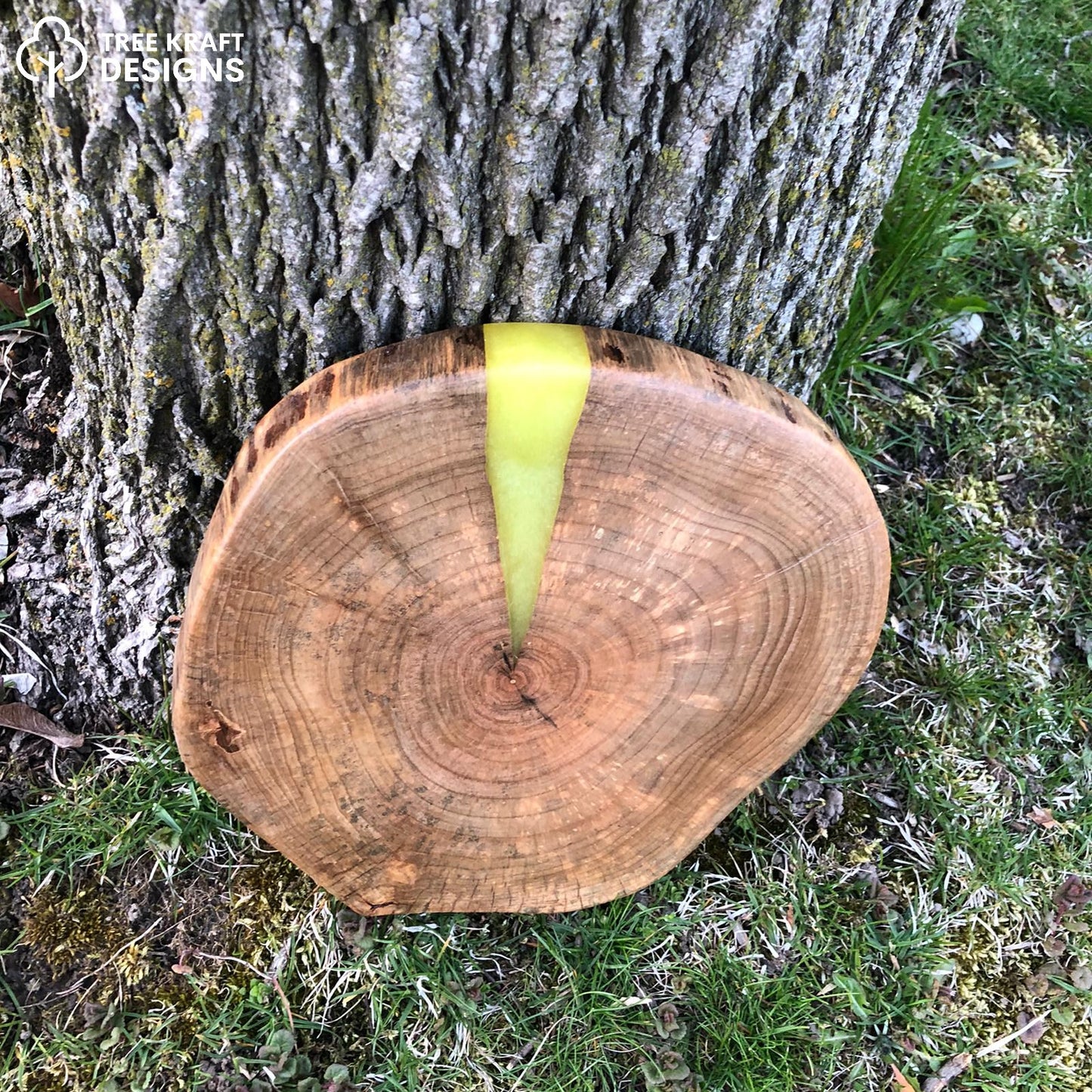 Silver Maple Biscuit with Yellow Epoxy
