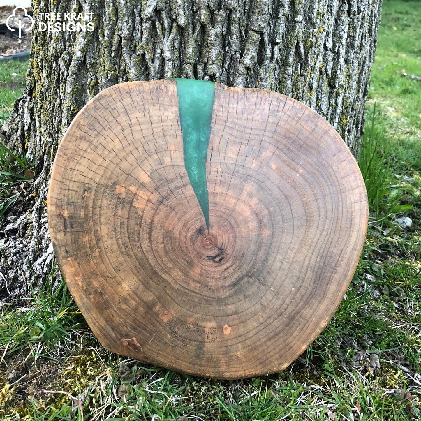 Silver Maple Biscuit with Green Epoxy