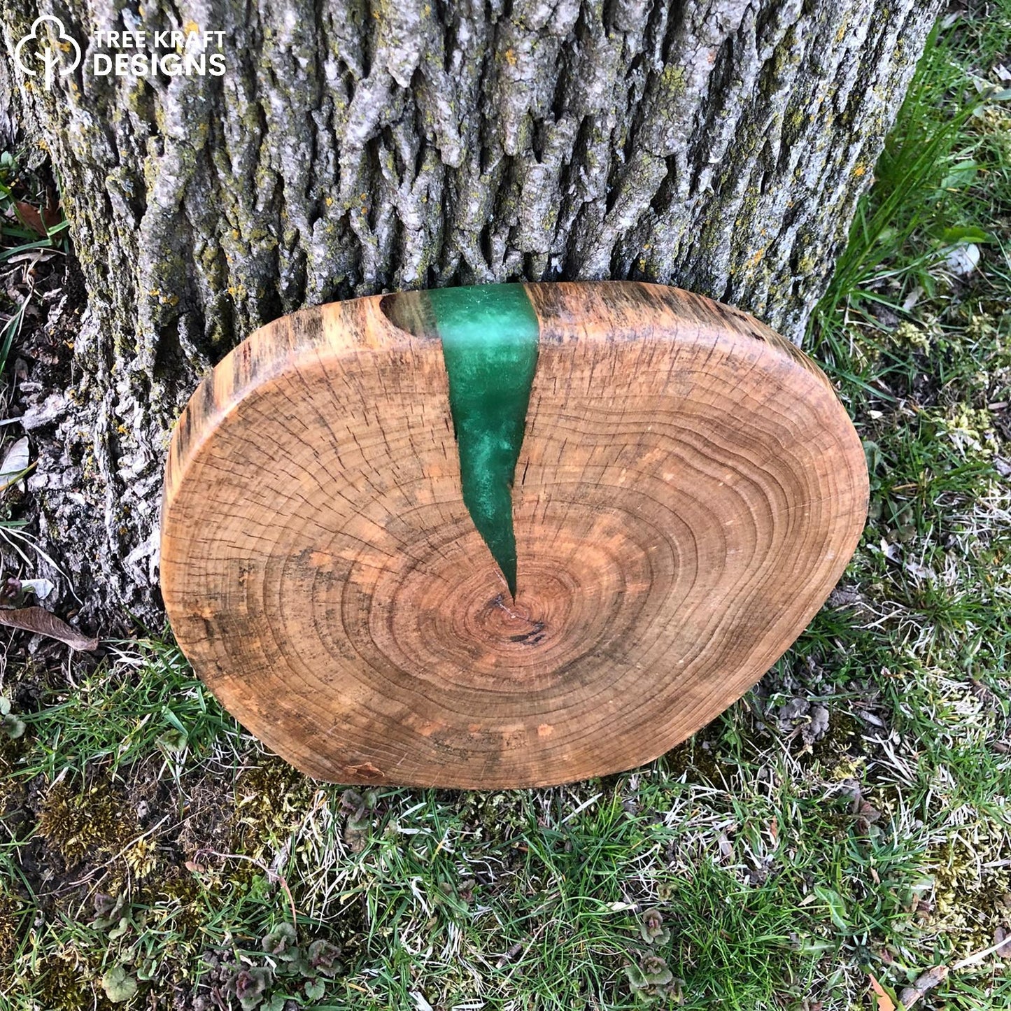 Silver Maple Biscuit with Green Epoxy